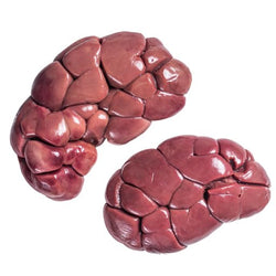 Beef Kidney 3lbs In Store Pickup Only - Totally Raw