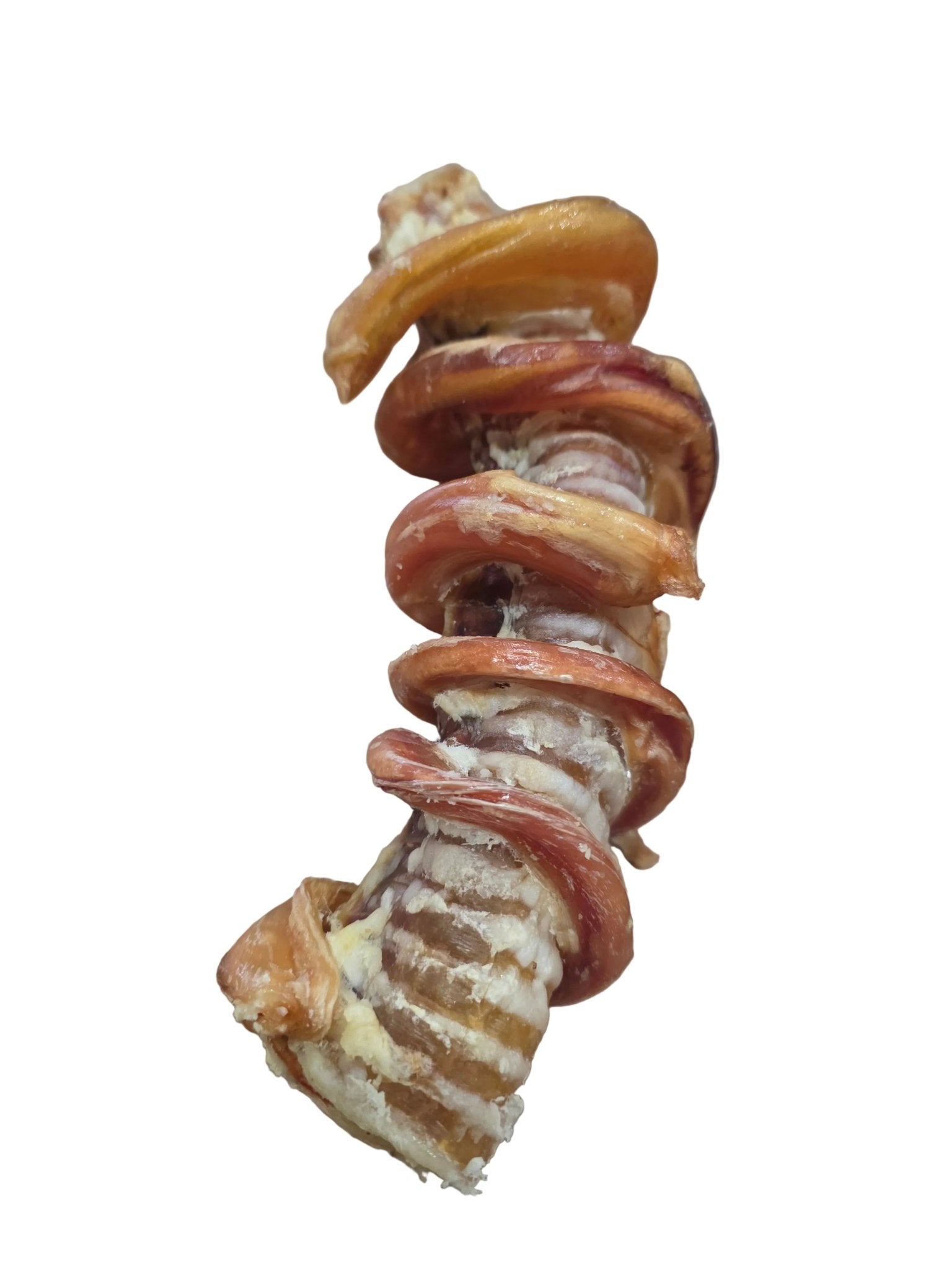 Dehydrated Beef Trachea wrapped in Pizzle - Totally Raw