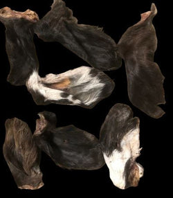 Dehydrated Cow Ears - Totally Raw