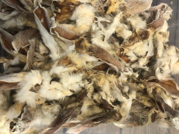 Dehydrated Rabbit Ears - Totally Raw