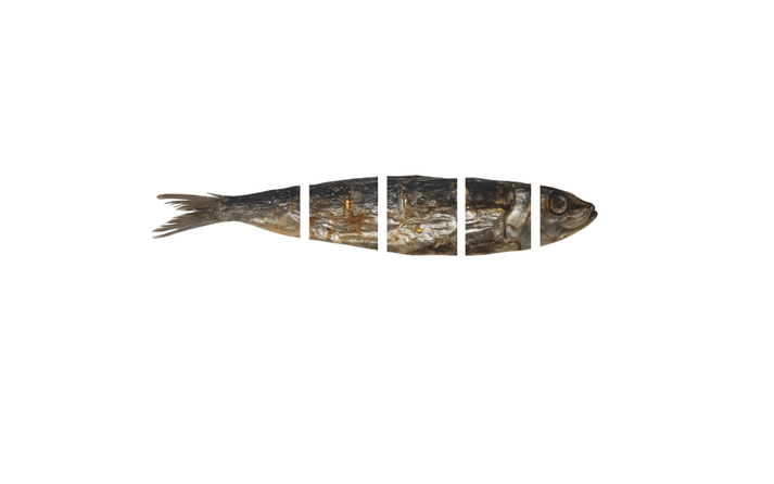 Dehydrated Sardines Bites - Totally Raw