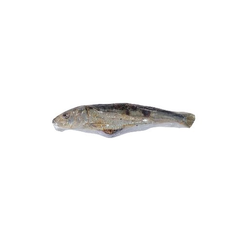 Freeze Dried Sardines 2 oz - Totally Raw