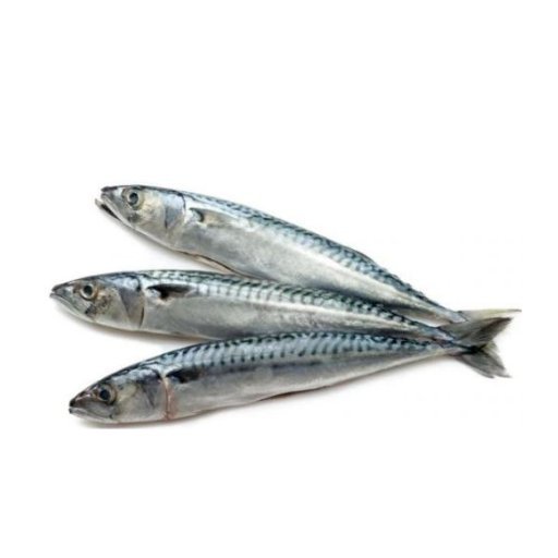 Wild Caught Raw Sardines patties 3 lbs - Totally Raw